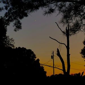 Meet your Posher, Ava